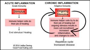 acute-and-chronic-inflammation