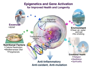 Epigenetics1
