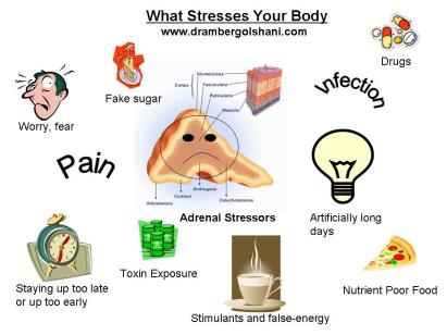 what-stresses-your-body