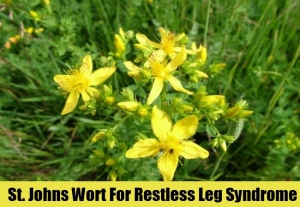 St.-Johns-Wort-For-Restless-Leg-Syndrome1